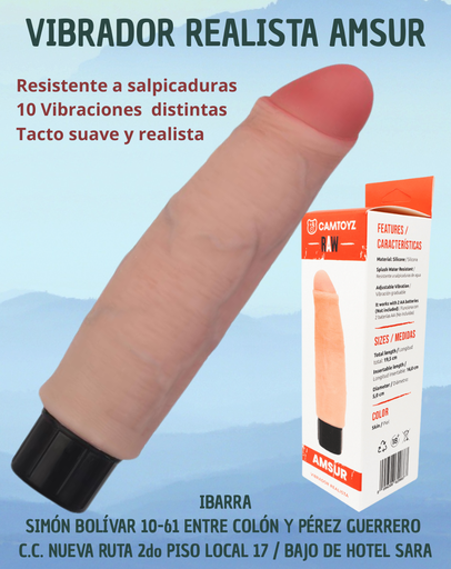 10 velocidades Amsur